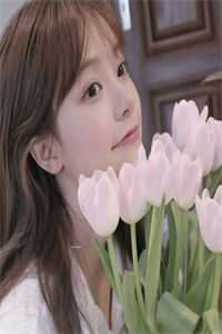 繁花似锦不休