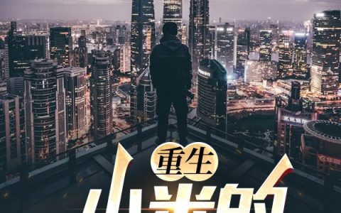 重生：小米的幸福生活米元叶芳华最新章节