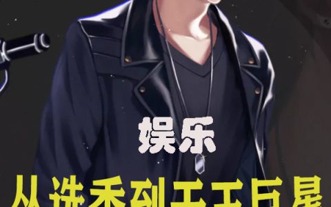 完整版小说免费阅读娱乐：从选秀到天王巨星
