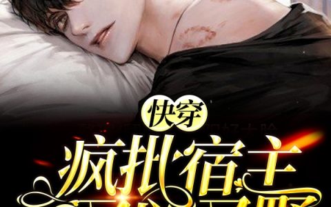 何茗湫沈伺主角全文在线阅读