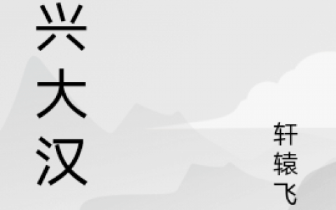 陈宏轩辕飞羽《再兴大汉》小说免费阅读_《再兴大汉》全章节免费阅读