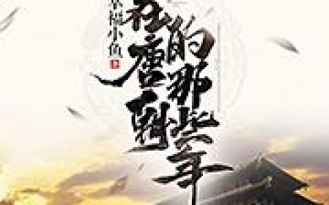 刘文宣贞观《我在唐朝的那些年》全文章节免费阅读_(刘文宣贞观)小说全文