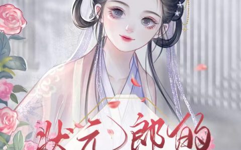 丁小锦孟云初(状元郎的小福妻)完结版阅读_《状元郎的小福妻》全文阅读