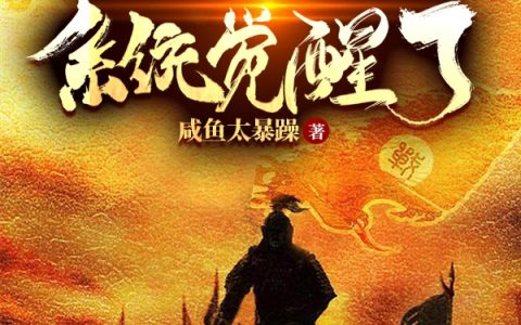 《大明，刚流亡吕宋系统觉醒了》全文小说-(朱和埸咸鱼太暴躁)全集阅读