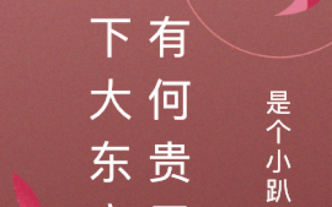 (丁晨夏凝安)全文章节免费阅读_在下大东家，有何贵干？全文阅读