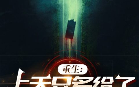 《重生：上天只多给了我24小时》叶轩慕雪全集阅读_(重生：上天只多给了我24小时)完结版在线阅读