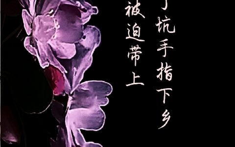 (颜溪卫瑾轩)七零被迫带上了坑手指下乡全集阅读_颜溪卫瑾轩全章节免费阅读