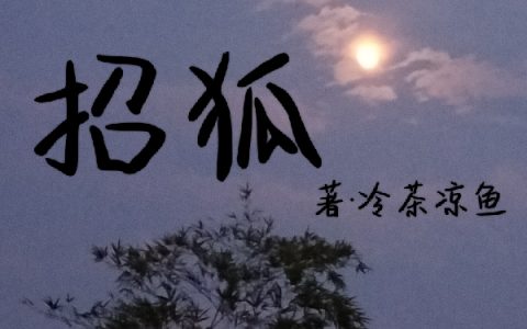 (曲辞夙漓)招狐全文在线阅读_《招狐》完整版免费在线阅读