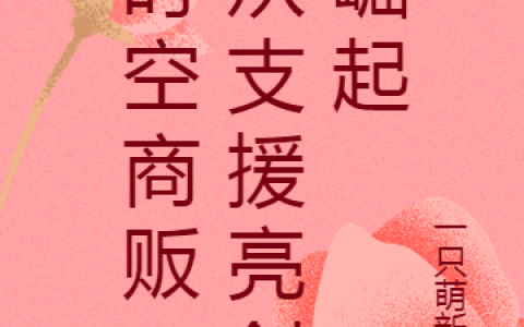 (何聪小虎)时空商贩：从支援亮剑崛起完结版阅读_(何聪小虎)完结版在线阅读