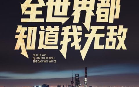 除了我，全世界都知道我无敌(林宇叶青)_(除了我，全世界都知道我无敌)最新章节阅读