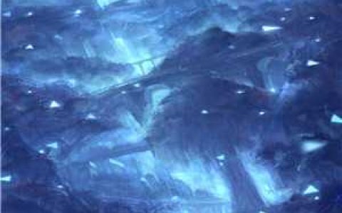 《大秦：始皇被我怼得心服口服》冯征嬴政完整版免费阅读_《大秦：始皇被我怼得心服口服》全集阅读